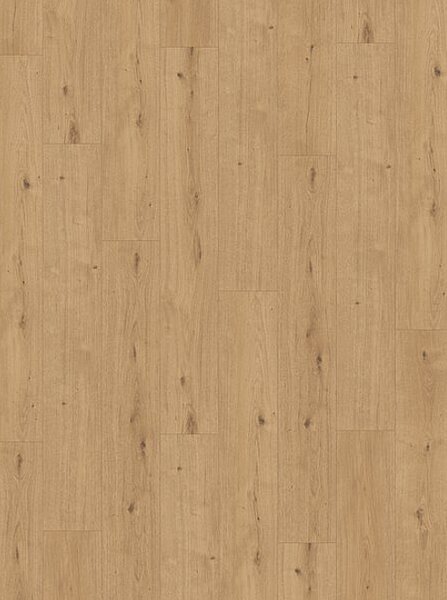 PARADOR Modular one hydron Dub atmosphere přírodní autentická struktura 1744839 - 2.02 m2