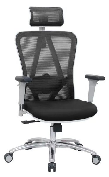 Kancelářská židle ERGODO BEJA WHITE černé