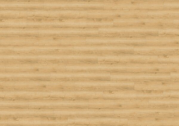 WINEO 800 wood Dub wheat golden DB00080 - 3.46 m2