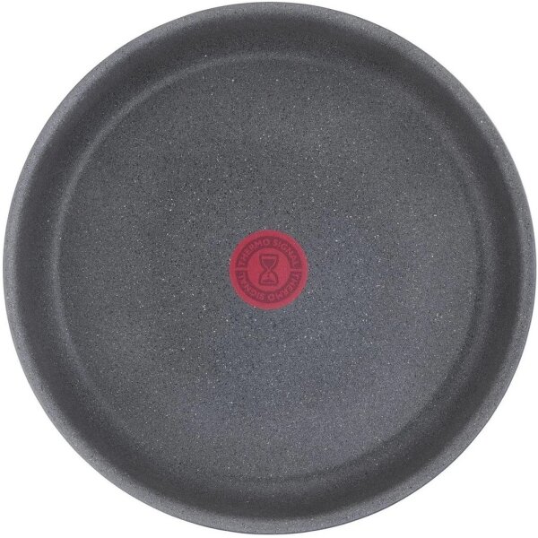 Tefal - Pánev INGENIO NATURAL FORCE 24 cm