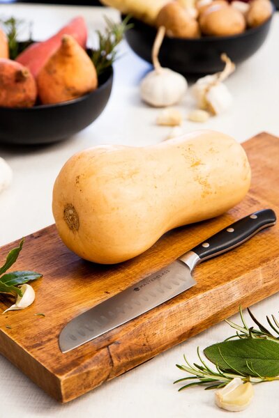 Nůž santoku MasterClass EdgeKeeper 12 cm, nerezová čepel, samoostřicí ochranné pouzdro, záruka 25 let MCEKTRSANT5