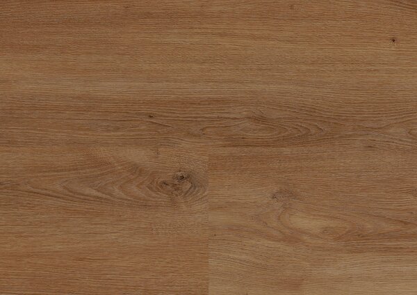 WINEO 800 wood XL Stavanger oak brown MLD839WXL - 2.10 m2
