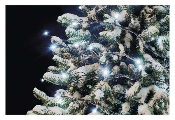 D1AC03 CONNECT CHAIN 100LED 10M IP44 CW