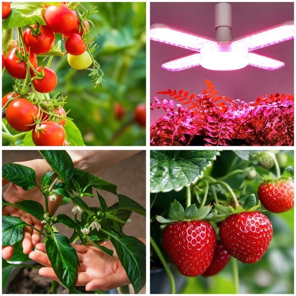 LED Žárovka pro růst rostlin PLANTY E27/40W/230V 1200K