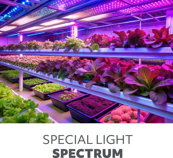 LED Žárovka pro růst rostlin PLANTY E27/40W/230V 1200K