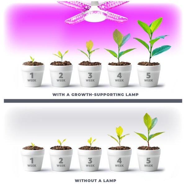 LED Žárovka pro růst rostlin PLANTY E27/40W/230V 1200K