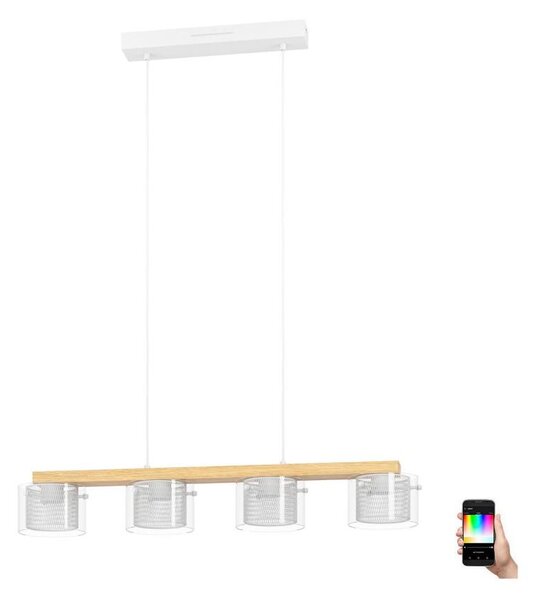 Eglo 900881 - LED RGBW Stmívatelný lustr na lanku PORTICO-Z 4xLED/3,7W/230V