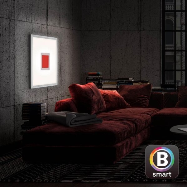 Brilo -LED RGB Stmívatelné stropní svítidlo CENTRO LED/24W/230V Wi-Fi Tuya + DO
