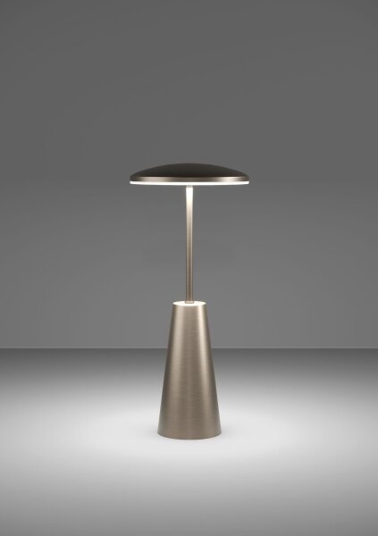 Eglo 900924 - LED Stmívatelná venkovní lampa PICCOLA 2,8W/5V 5200mAh IP54 béžová
