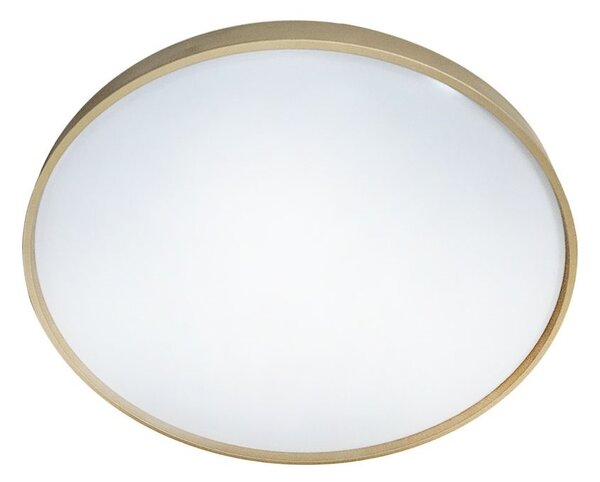 LED Stmívatelné stropní svítidlo DRINA LED/36W/230V 2700-6500K +dálkové ovládání