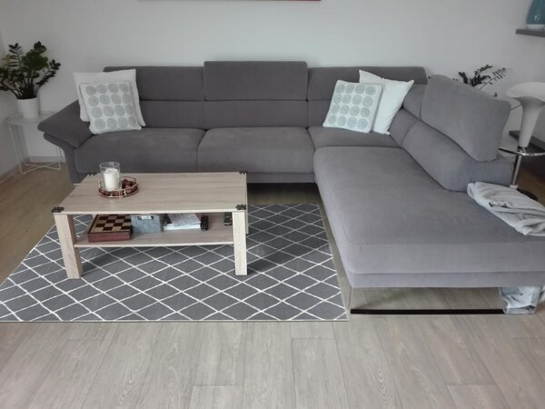Kusový koberec Twin-Wendeteppiche 103118 grau creme 80x150 cm
