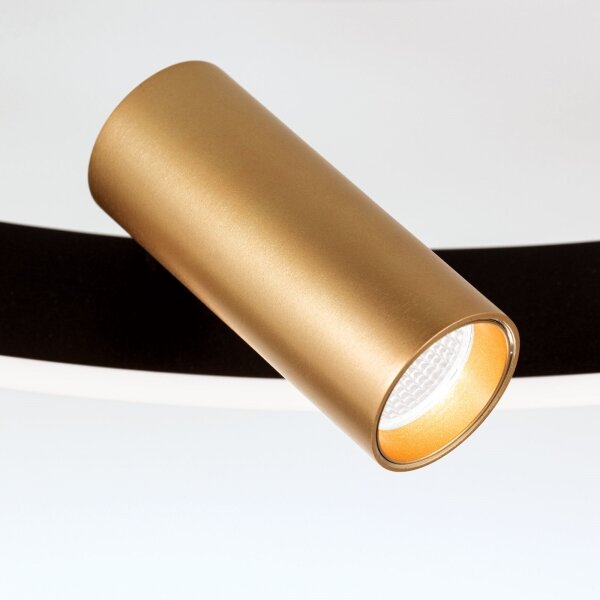 Orion DL 7-686/3-LED Stmívatelné strop. svítidlo BERLIN LED/50W/230V černá/zlatá