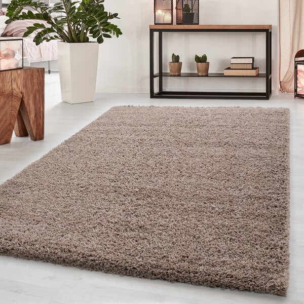 Kusový koberec Dream Shaggy 4000 beige 120x170 cm