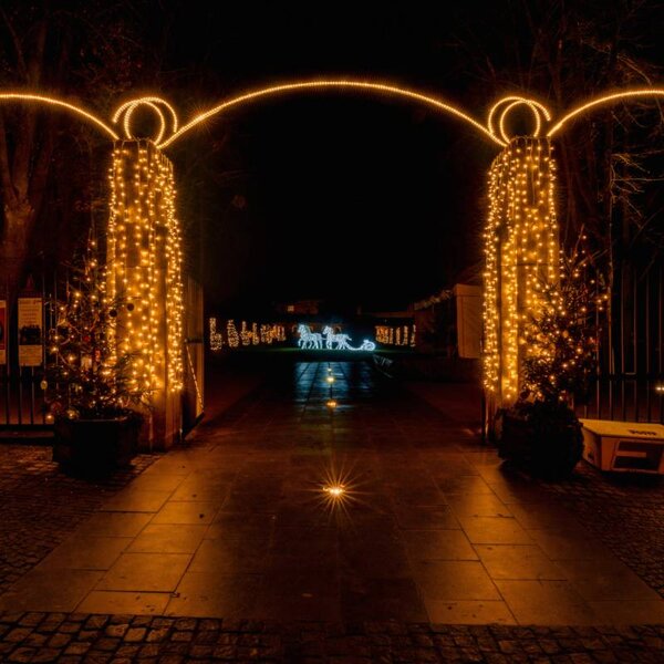 DECOLED Easy Fix LED světelný závěs venkovní, 100 × 300 cm, teple bílá s FLASH, 300 diod, bílý kabel, IP67, prodlužovací
