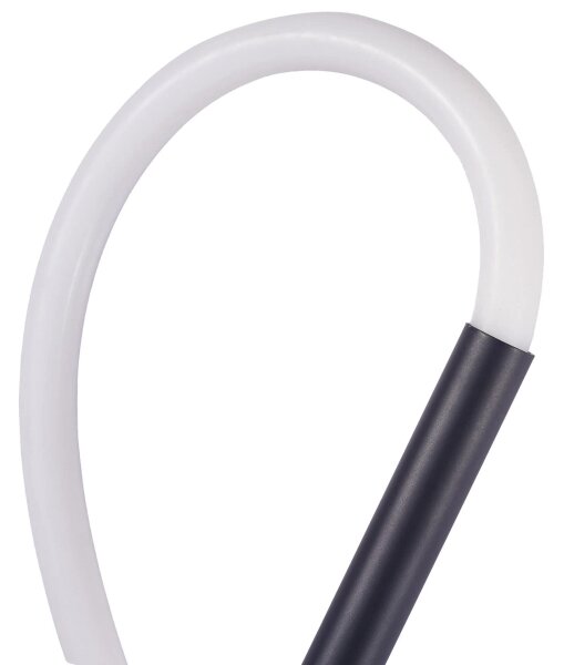 LED Nástěnné svítidlo EMMA LED/19W/230V černá