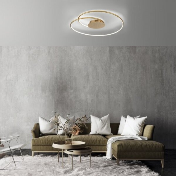 Paul Neuhaus 6189-12 - LED Stmívatelné stropní svítidlo NASTRO LED/26W/230V