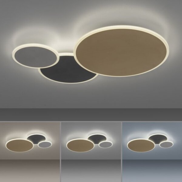 Paul Neuhaus 8007-70-LED Stmívatelné svítidlo Q-PIATO LED/35W/230V 2700-5000K+DO