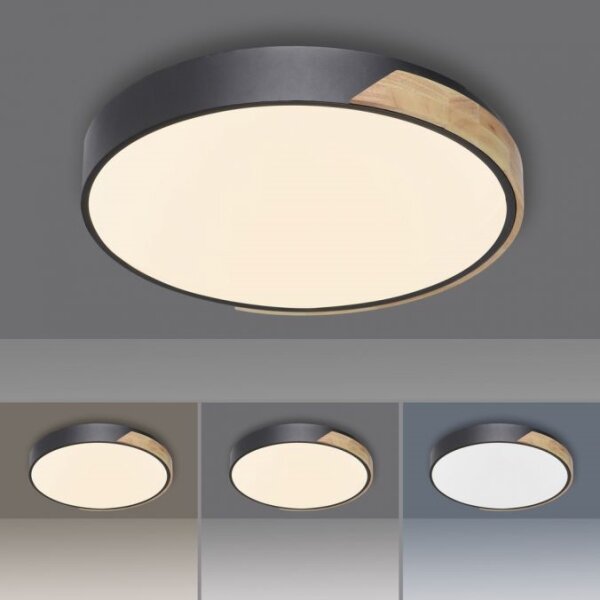 Paul Neuhaus 6071-18-LED Stmívatelné svítidlo Q-PIATO LED/35W/230V 2700-5000K+DO