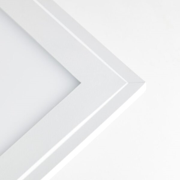 Brilliant - LED RGBW Stmívatelné stropní svítidlo ABIE LED/24W/230V + DO
