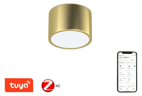Immax NEO RONDATE Smart stropní svítidlo 15cm 12W zlaté Zigbee 3.0
