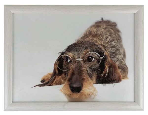 Podnos na nohy s jezevčíkem v brýlích Dachshund humour - 43*33*7cm - Mars & More