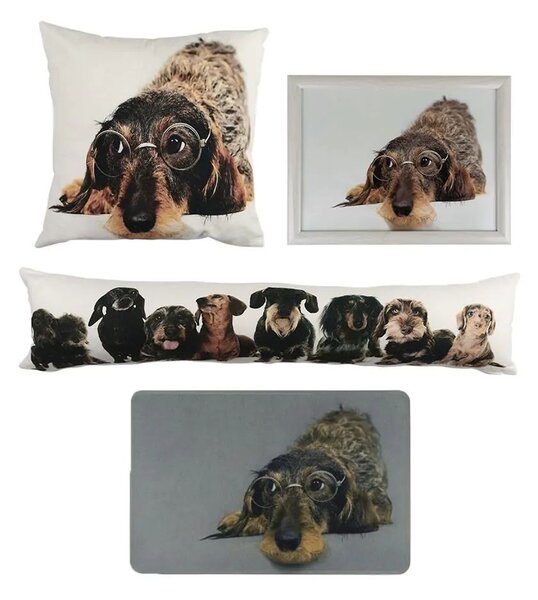 Podnos na nohy s jezevčíkem v brýlích Dachshund humour - 43*33*7cm - Mars & More