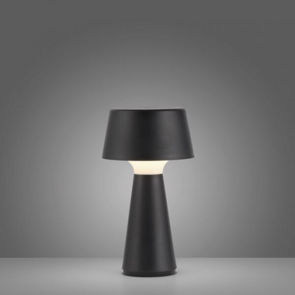 JUST LIGHT. 19260-18 - LED Stmívatelná venkovní lampa ABERA LED/3W/3,7V IP54