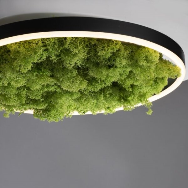 JUST LIGHT. 15391-66 - LED Stmívatelné stropní svítidlo GREEN RITU LED/20W/230V