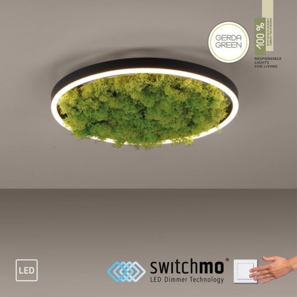 JUST LIGHT. 15391-66 - LED Stmívatelné stropní svítidlo GREEN RITU LED/20W/230V