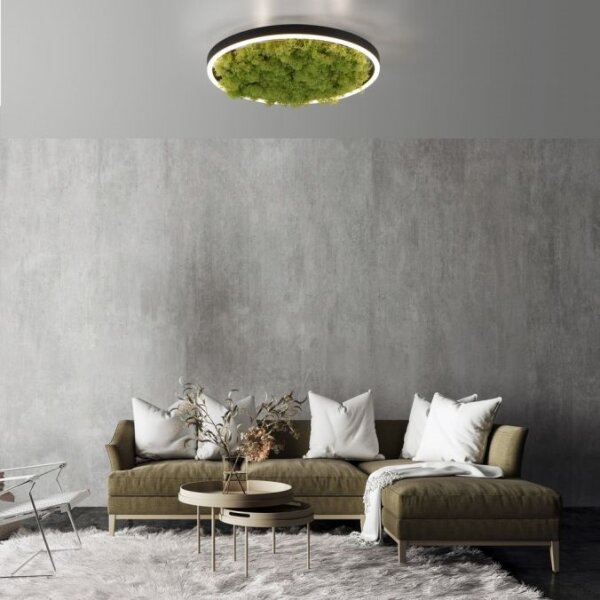 JUST LIGHT. 15391-66 - LED Stmívatelné stropní svítidlo GREEN RITU LED/20W/230V