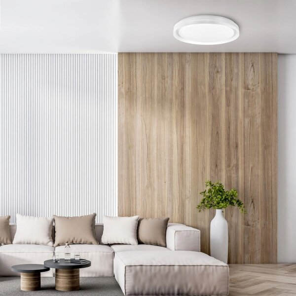 LED Stmívatelné koupelnové stropní svítidlo ELIZA LED/48W/230V IP44 + DO