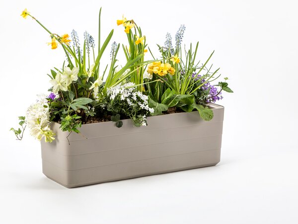 Truhlík Berberis 60 cm - terakota béžová