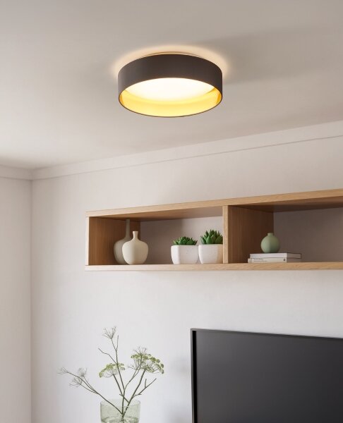 Eglo 99542 - LED Stropní svítidlo MASERLO LED/24W/230V
