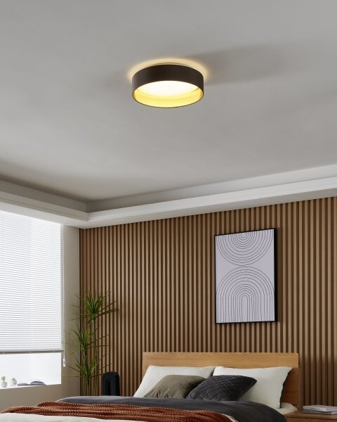 Eglo 99542 - LED Stropní svítidlo MASERLO LED/24W/230V