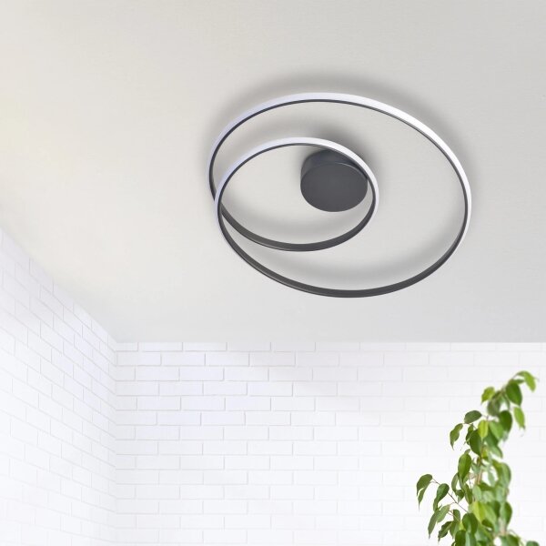 LED Stropní svítidlo ZEFIRA LED/40W/230V 4000K pr. 50 cm antracit