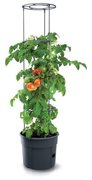 Květináč samozavl. na pěstování rajčat TOMATO GROWER antracit 29,5cm (max. výška: 115,2cm)