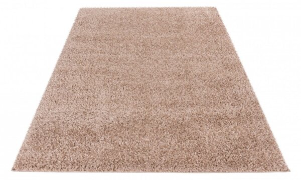 Kusový koberec Emilia 250 taupe 160x230 cm