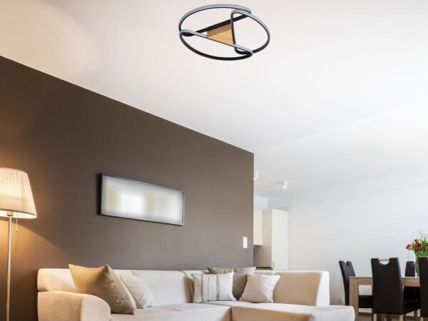 LED Stmívatelné stropní svítidlo LED/75W/230V 3000-6500K hnědá/černá + DO