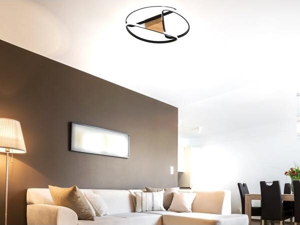 LED Stmívatelné stropní svítidlo LED/75W/230V 3000-6500K hnědá/černá + DO