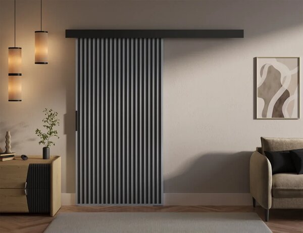 Perion 106 Posuvné dveře šedá (106 x 205) cm – 1 dveřní křídlo bez nároku na místo při otevírání