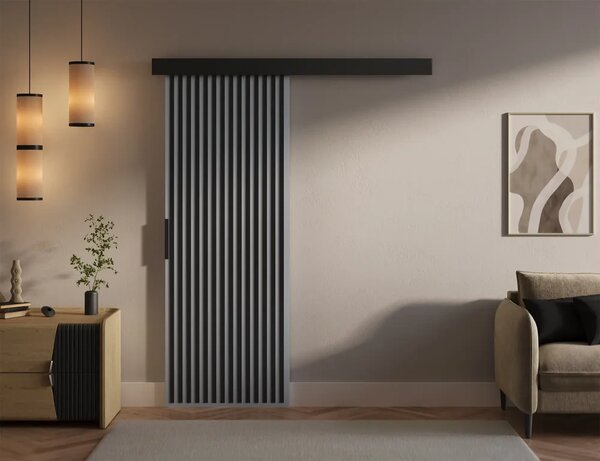 Perion 76 Posuvné dveře šedá (76 x 205) cm – 1 dveřní křídlo bez nároku na místo při otevírání
