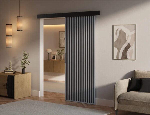 Perion 86 Posuvné dveře šedá (86 x 205) cm – 1 dveřní křídlo bez nároku na místo při otevírání