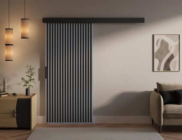 Perion 96 Posuvné dveře šedá (96 x 205) cm – 1 dveřní křídlo bez nároku na místo při otevírání