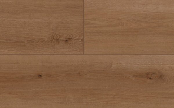 AUDACITY Redwood Oasis EWH7007 - 2.49 m2