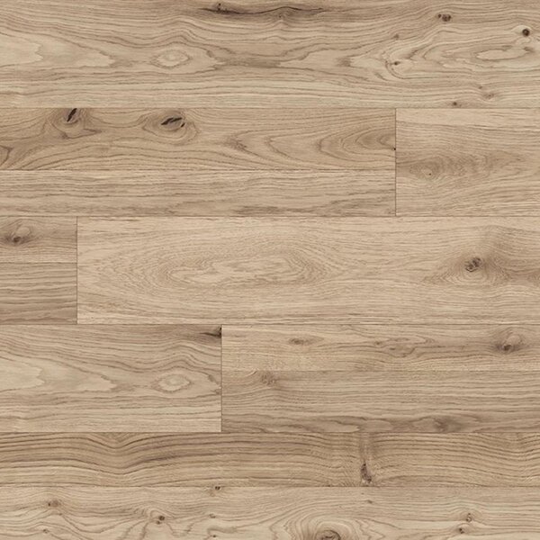 KAINDL Classic Touch 8.0 standard K2591 Dub MICHIGAN DETROIT