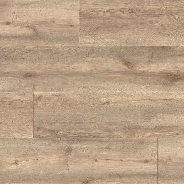 KAINDL Classic Touch 8.0 standard K2595 Dub KANSAS TOPEKA