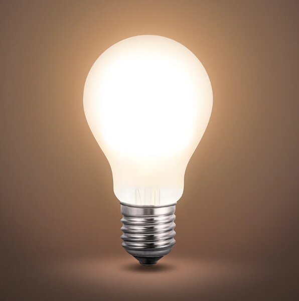 LED stmívatelná žárovka Minalox A60 E27, 6W, 24V, 3000K, frosted