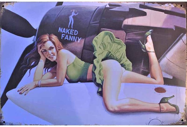 Ceduľa Naked Fanny 30cm x 20cm Plechová tabuľa