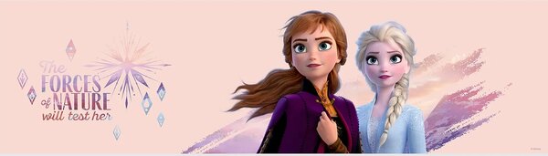 Dětská samolepící bordura na zeď Sestry z Ledového Království, Disney | 5 m x 13.8 cm | DWBD8111