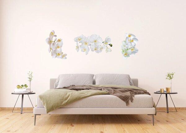 Samolepka na zeď Květy Orchideje | 65 x 85 cm | DF1068